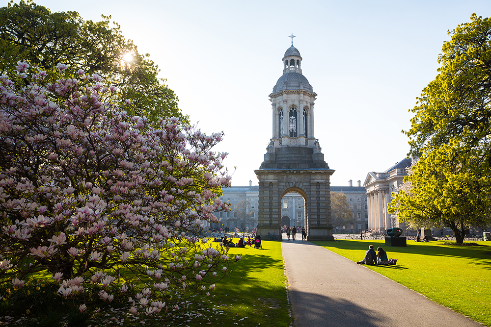 Campinile - Dublin