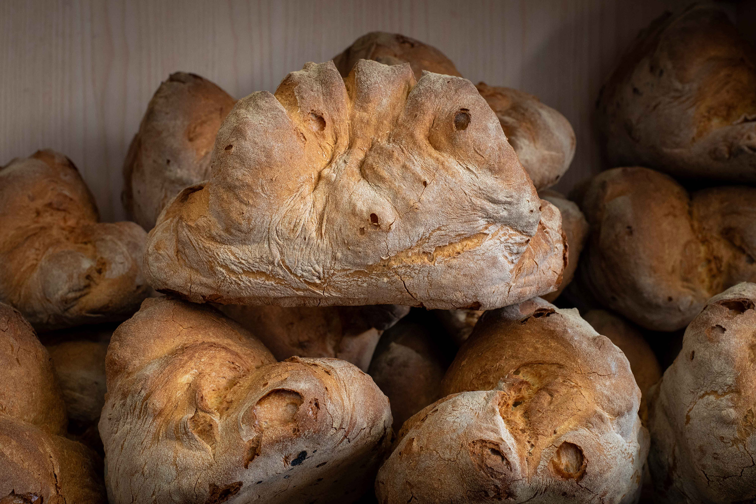 Pane di Matera