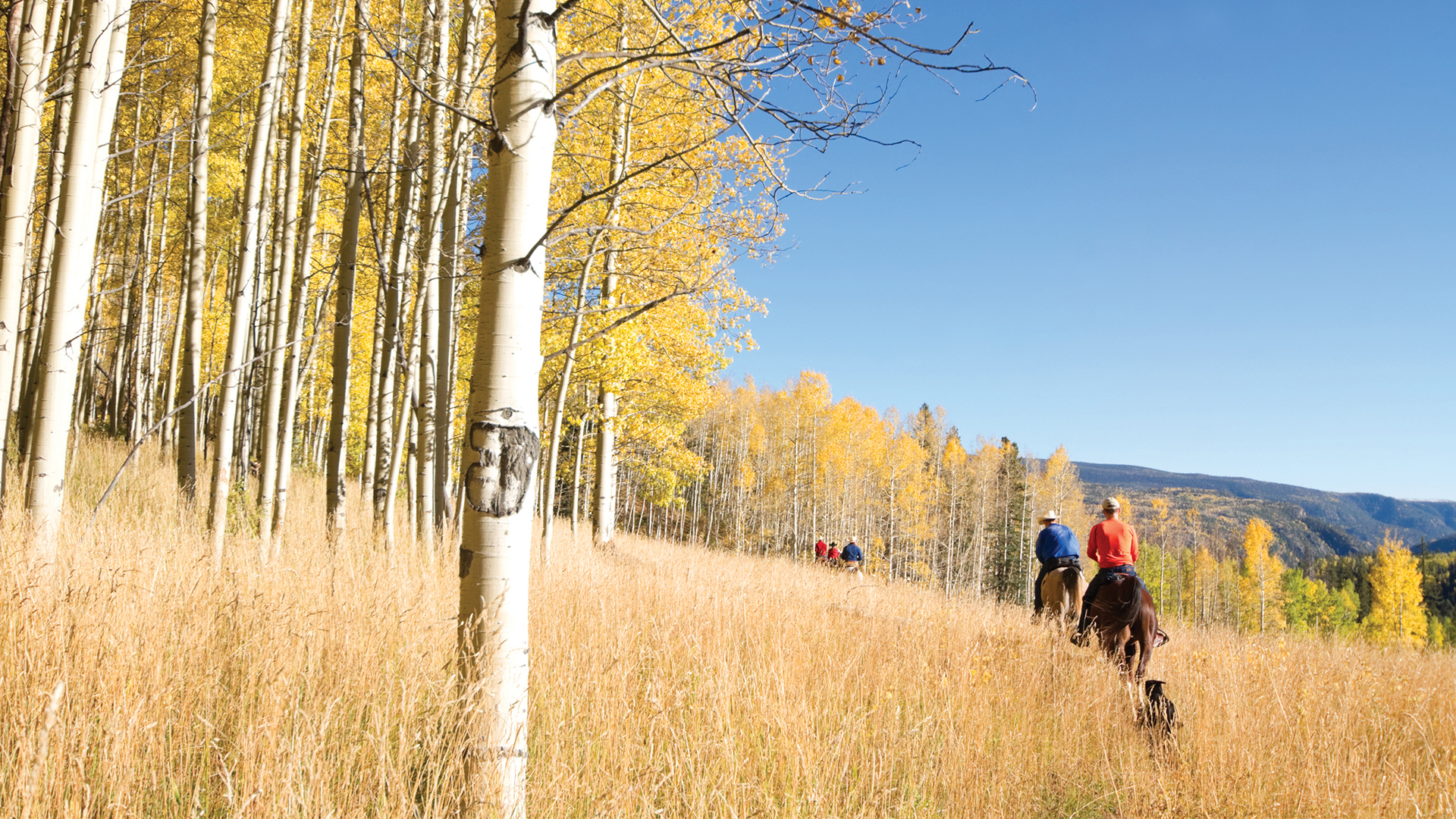 Horseback riding along the mountainside