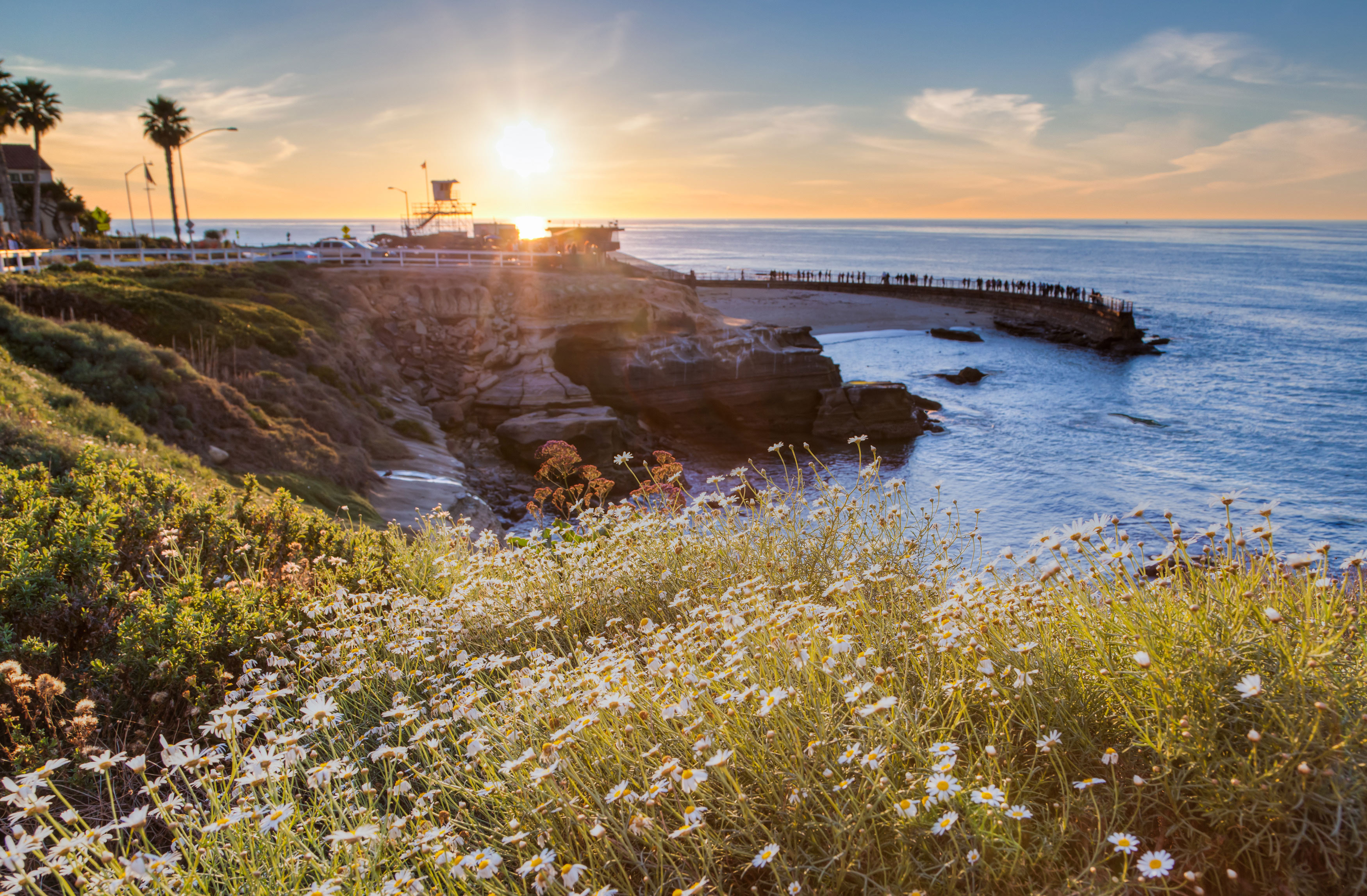 la jolla cove